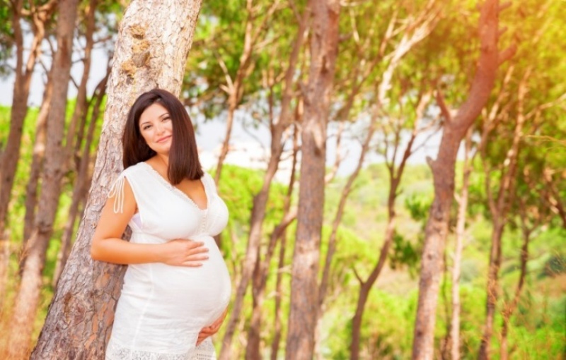 ����Ƹ���蹫˾-�������д�����